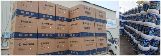 Parties d'éclairage pour camions Shacman Lampade arrière AZ9719810001 Accessoires de remplacement